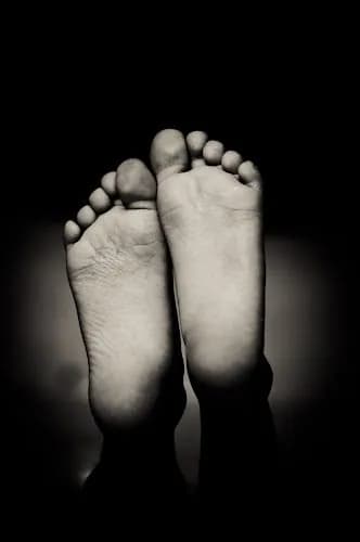 Roux Reflexology