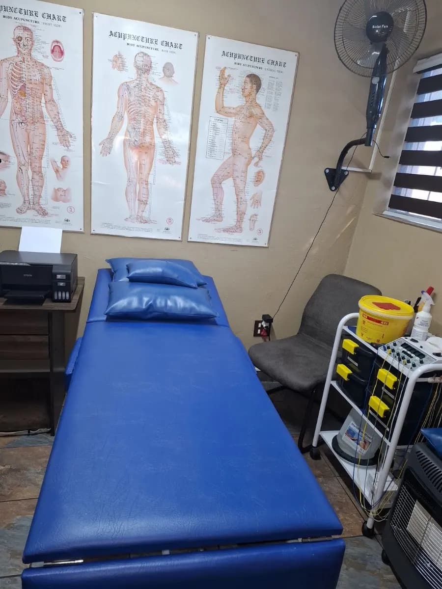 Dr Ishendra Bapoo Chinese Medicine & Acupuncture