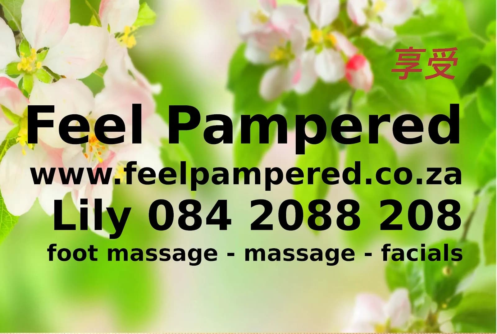 Feel Pampered Wellness Centre