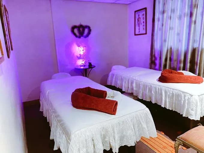 shelton spa