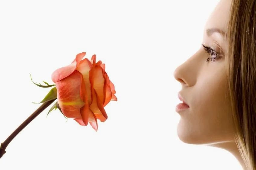 EcoLine Enterprises (Pty) Ltd - Reine de la Rose Eco.Spa