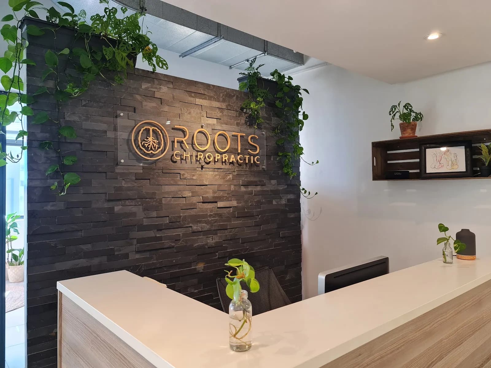 Roots Chiropractic