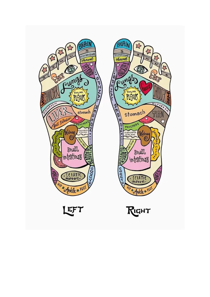 Maryna Esterhuyse Therapeutic Reflexologist