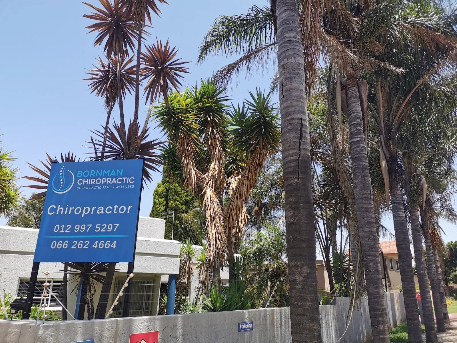 Bornman Chiropractic
