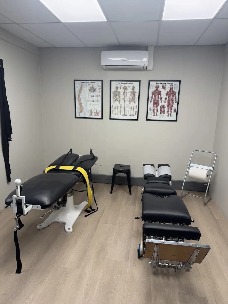 Olive Chiropractic / Dr. Pieter du Plessis and Associates