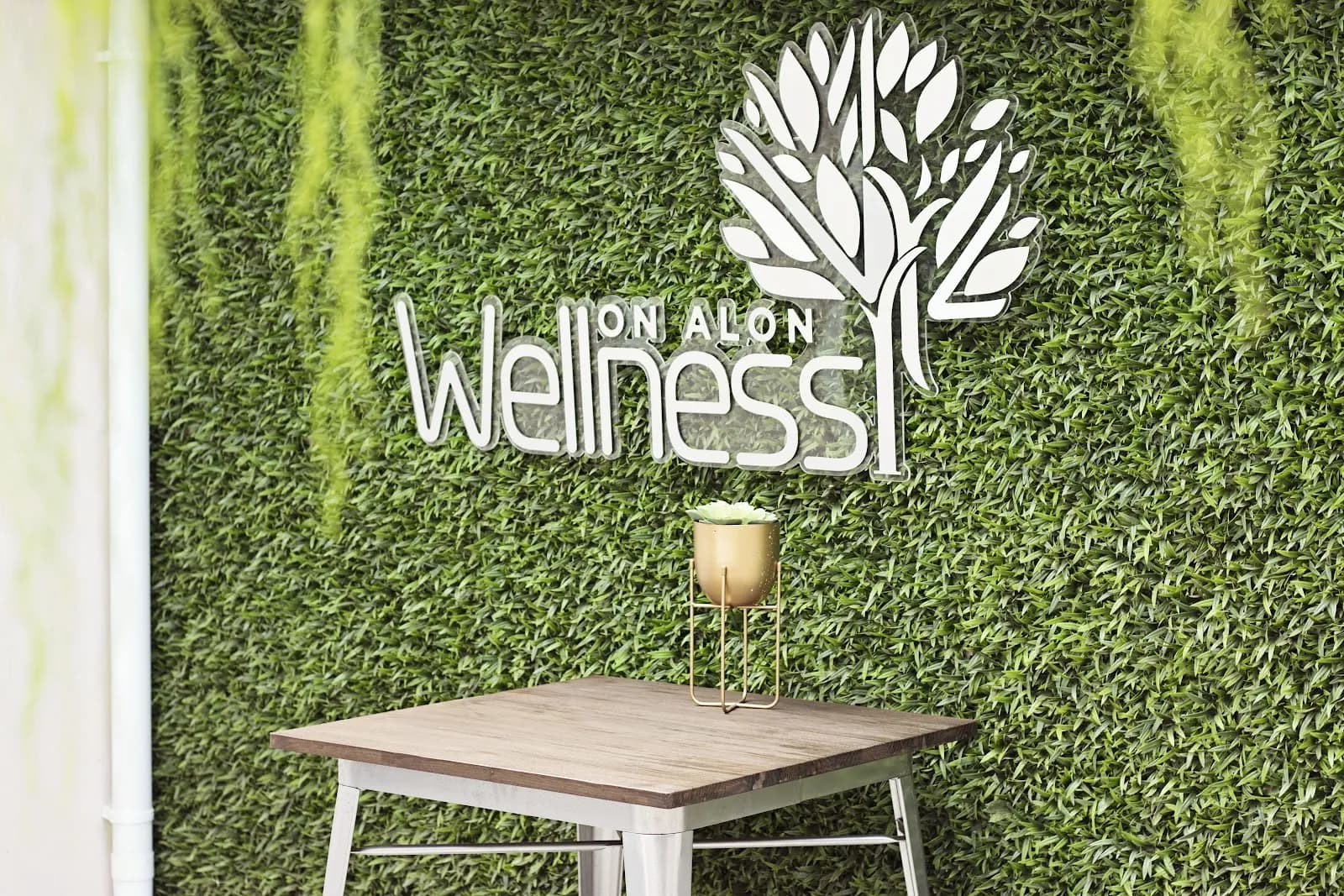 Wellness on Alon