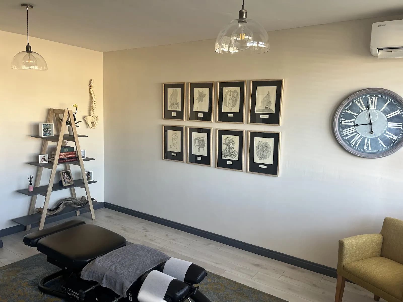 Hyde Park Chiropractic