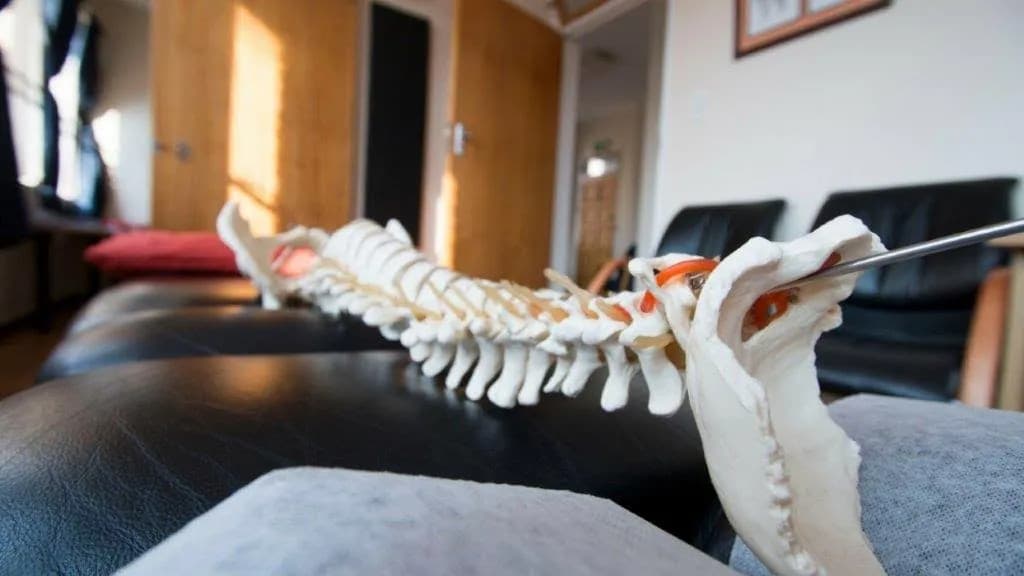 Walters Chiropractic