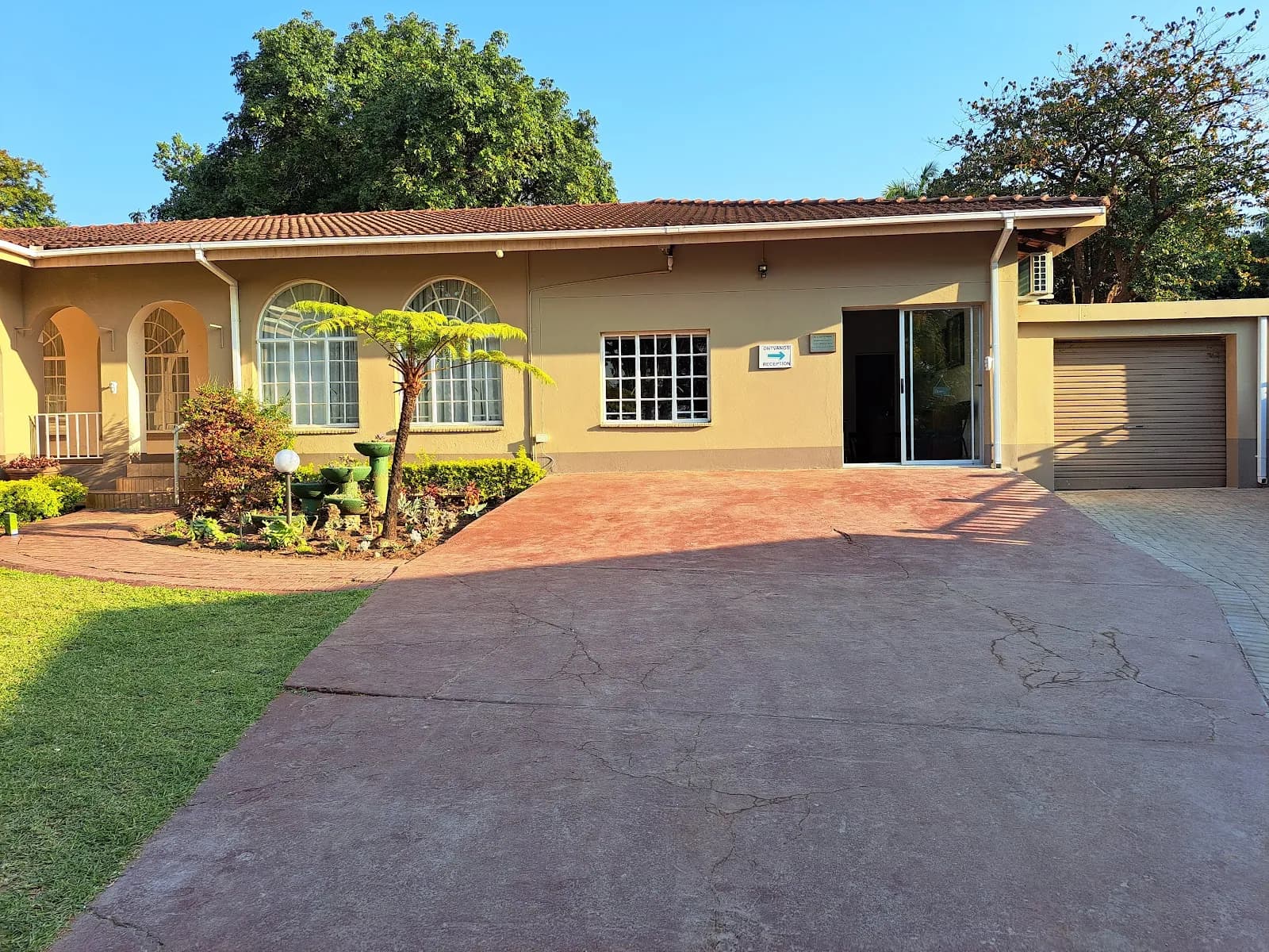 Dr Johmari Logtenberg Chiropractic- Tzaneen