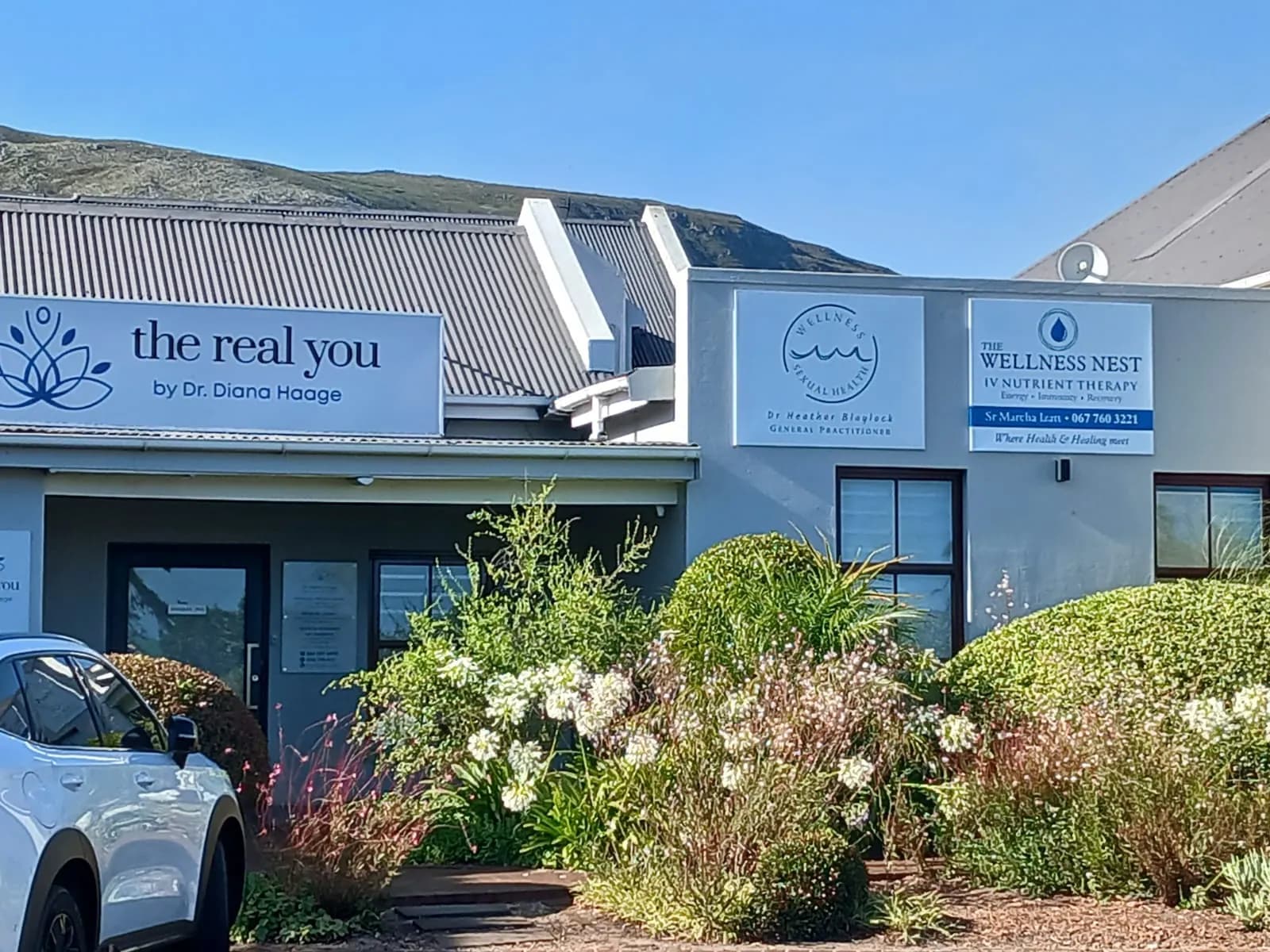 The Wellness Nest