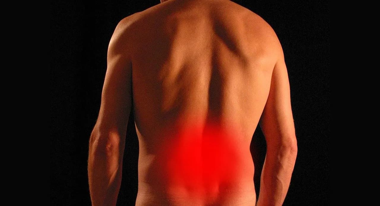D.ness Physio Solutions