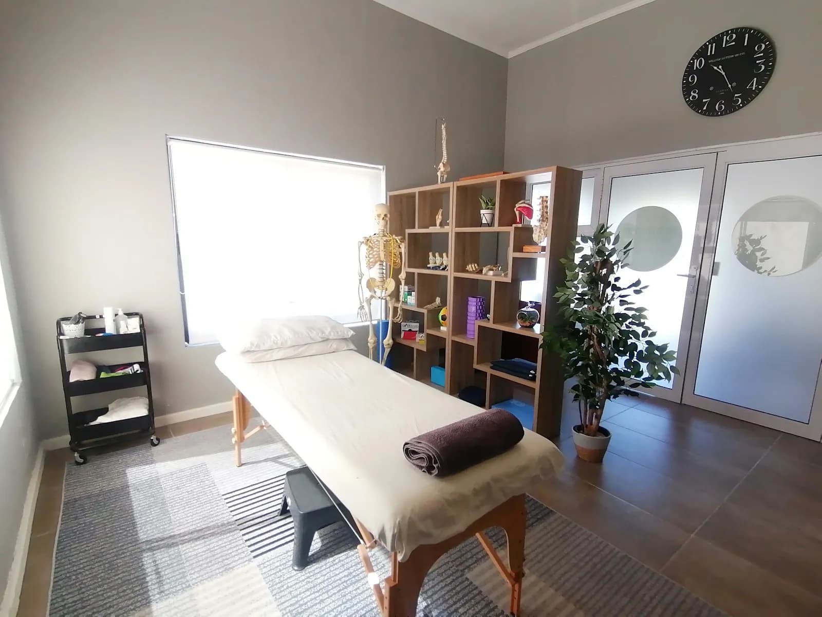 Nicolise Goosen Physiotherapy
