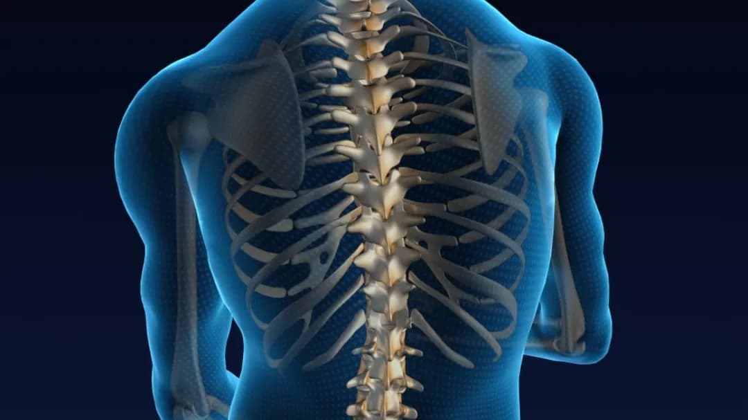 Mokgoatjana Justine Physiotherapists