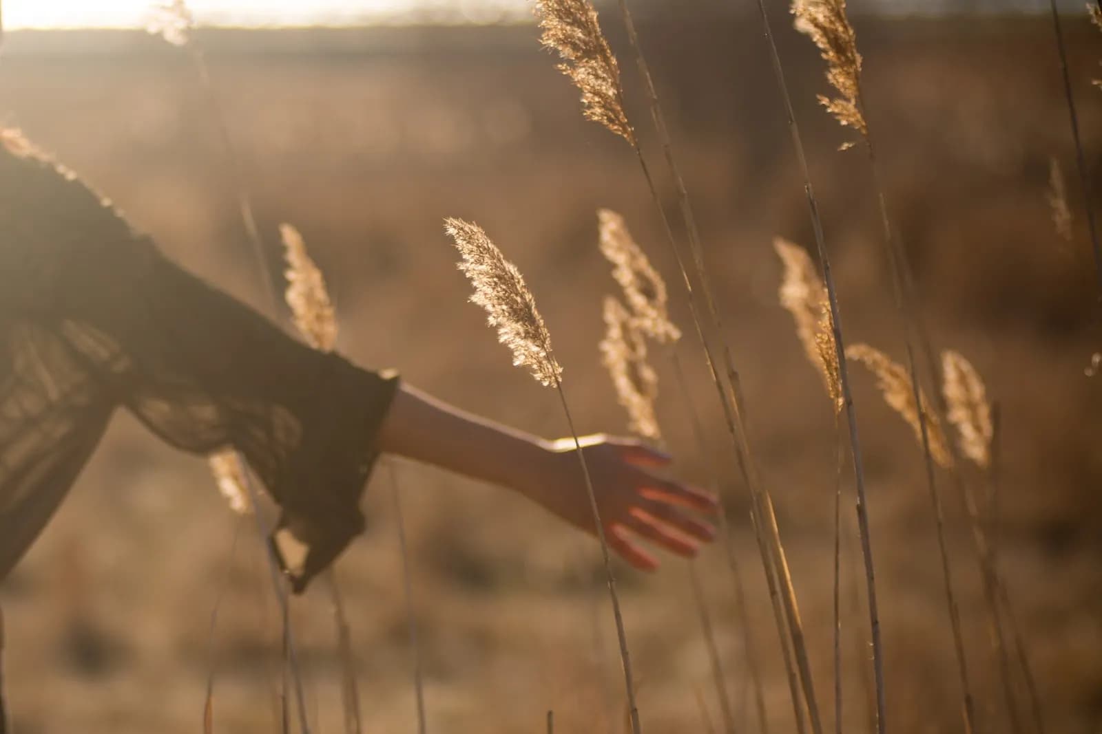Wild Yoga Africa