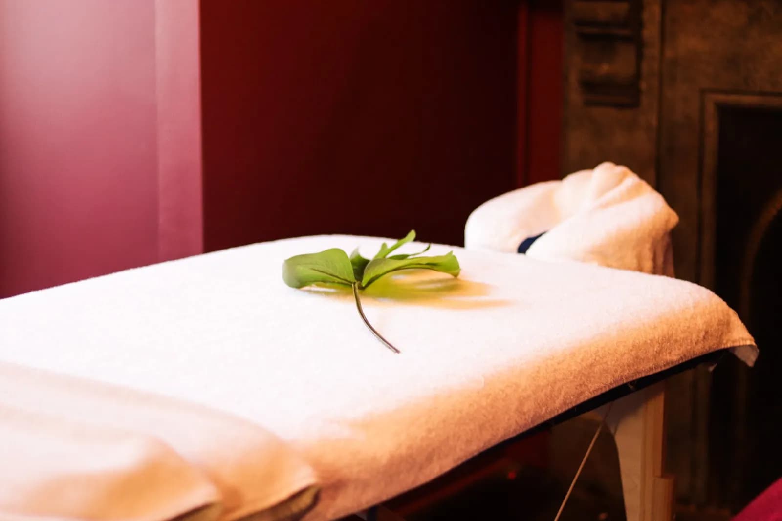 Pro Spa Mobile Spa
