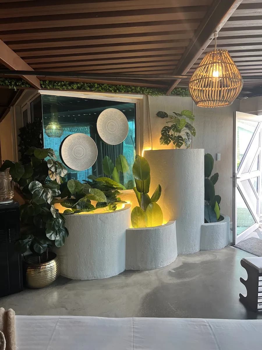 Feline Spa And Beauty Labs