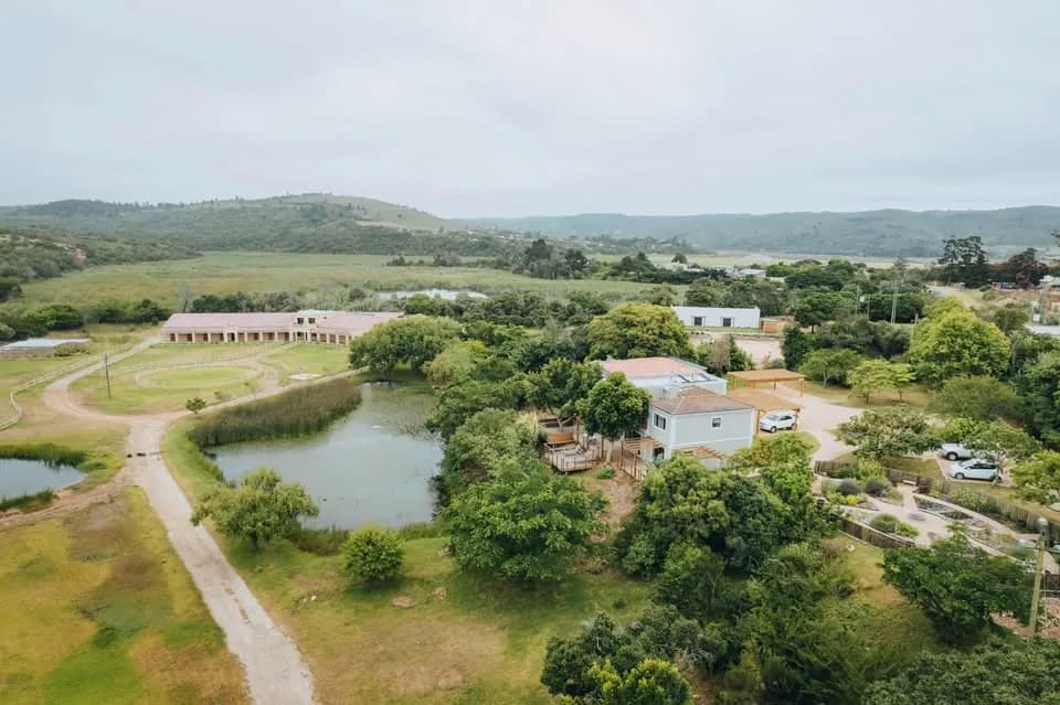 Kwendalo