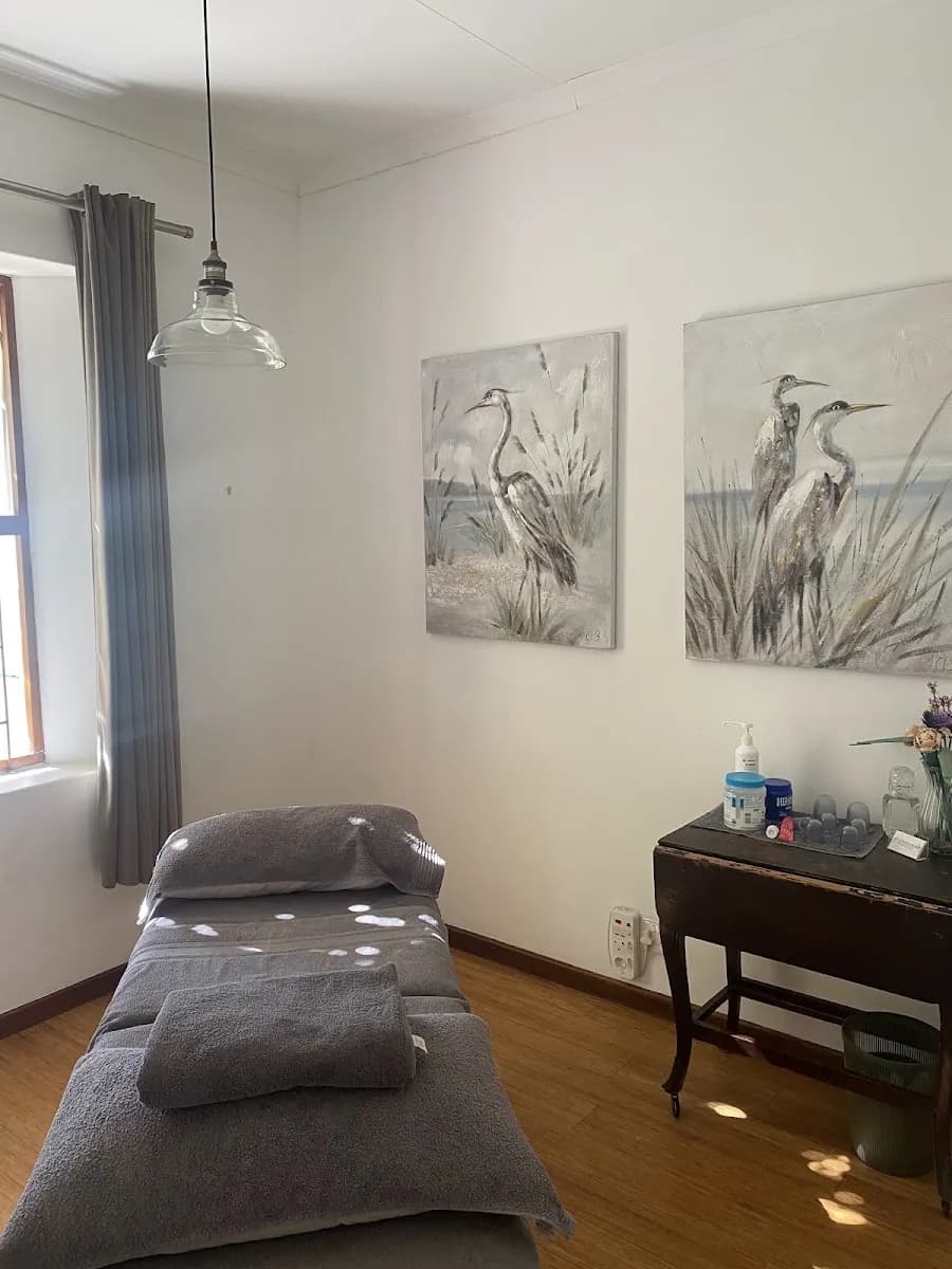 Vanquish - Sports Recovery Massage