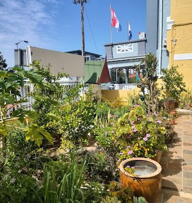 AF1QipM7sYNEwzkUvBNlkvO80kmY8DOGiWGLlIPDUW4rw800 h500 k no