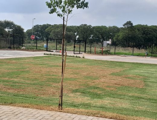 AF1QipMdlB6wQlC ACdYTDLzfhIN3PvVRICQ8Ig2emcGw800 h500 k no