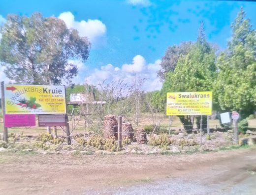 AF1QipNJbYDgZ9VtKbuC uxxvjqnd76SHe8Oq27PZTwMw800 h500 k no