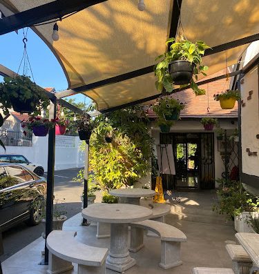 AF1QipNiaNlKoeh5oCLFYrYheKkpQxZxLzNocTUE1 y2w800 h500 k no