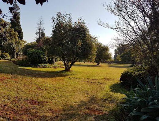 AF1QipNjwJXJMsiFP1pBa8TTcCZ2XY5LJ06ow0rptP yw800 h500 k no