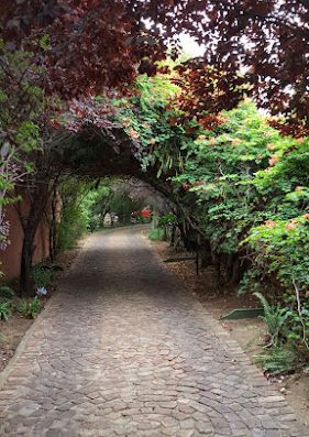 AF1QipO0iahPoBRjImFpTaX4xBFJfS EGvqYXljFZzI2w800 h500 k no