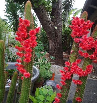 AF1QipO3YD3fecgCQyKQdE 87qNFy29LYZQjZCkPioYw800 h500 k no