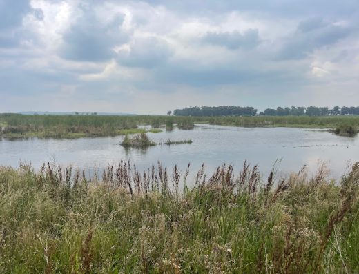 AF1QipOV4qEN5cSBhmK3L5F bKM Ee c5VujK lGdysw800 h500 k no