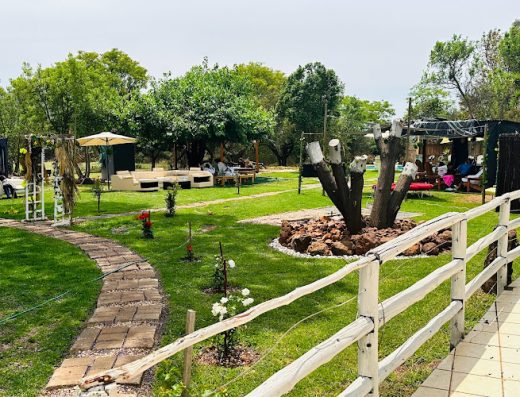 AF1QipP6TY1RC3 hJ rl2ooJCSsoJaKIY5SwrzhpZfvaw800 h500 k no