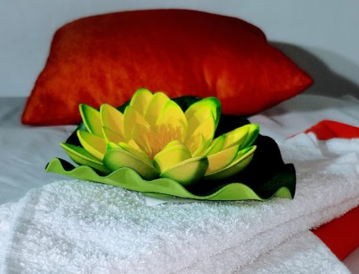 AF1QipPN1ZaCQz4jRjFCkYl6onMZ7xGsv1JgvqLTMjK7w800 h500 k no