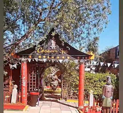 AF1QipPeJGf1GbFXWBGDBl6t1fklUdRFkFpLFa2PcyO w800 h500 k no