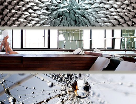 AF1QipPxc1XDJ7u JDQDGnXUNPeqf eH06WEx1yjRADgw800 h500 k no